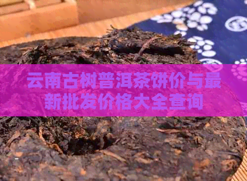 云南古树普洱茶饼价与最新批发价格大全查询