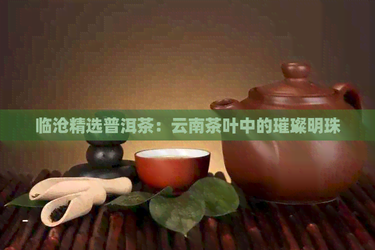 临沧精选普洱茶：云南茶叶中的璀璨明珠