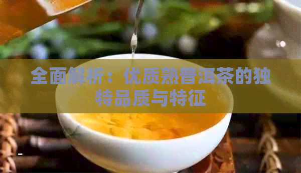 全面解析：优质熟普洱茶的独特品质与特征