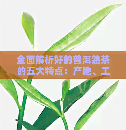 全面解析好的普洱熟茶的五大特点：产地、工艺、口感、香气与功效