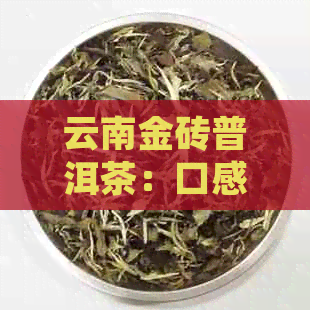 云南金砖普洱茶：口感特点解析与品质判断