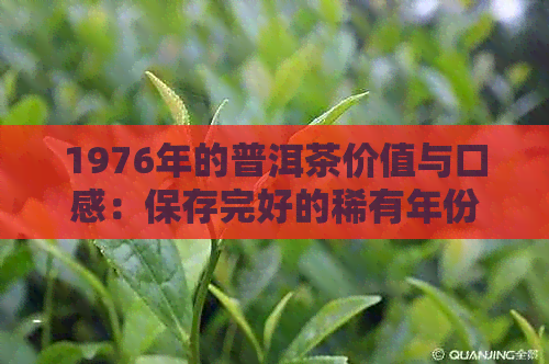 1976年的普洱茶价值与口感：保存完好的稀有年份茶叶疑问解答