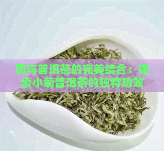 菊与普洱茶的完美结合：探索小菊普洱茶的独特功效与作用