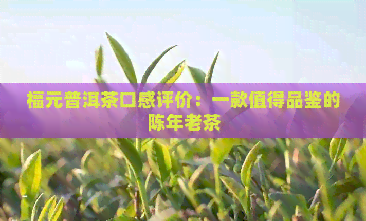 福元普洱茶口感评价：一款值得品鉴的陈年老茶