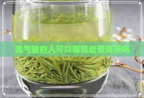 湿气重的人可以喝陈皮普洱茶吗