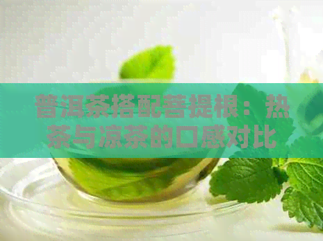 普洱茶搭配菩提根：热茶与凉茶的口感对比，哪种更适合饮用？