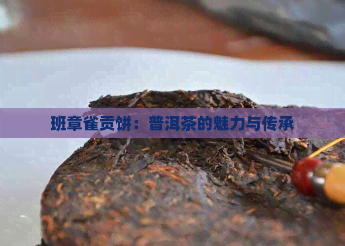 班章雀贡饼：普洱茶的魅力与传承