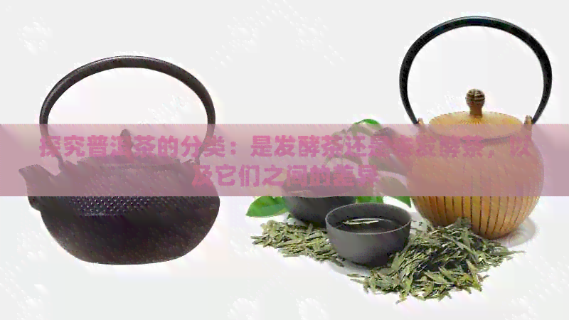 探究普洱茶的分类：是发酵茶还是未发酵茶，以及它们之间的差异