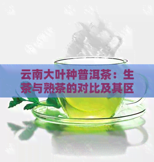 云南大叶种普洱茶：生茶与熟茶的对比及其区别探讨