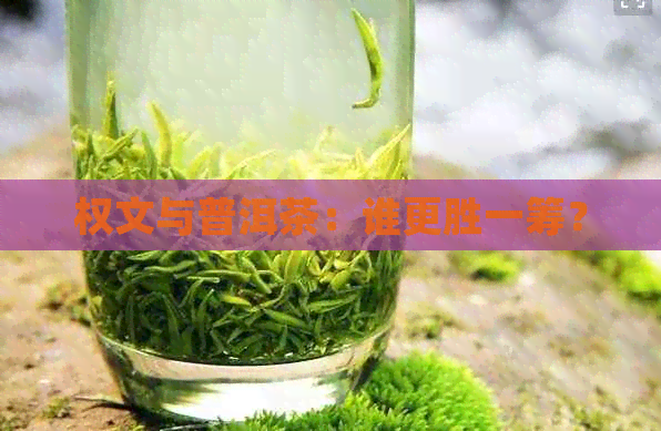 权文与普洱茶：谁更胜一筹？