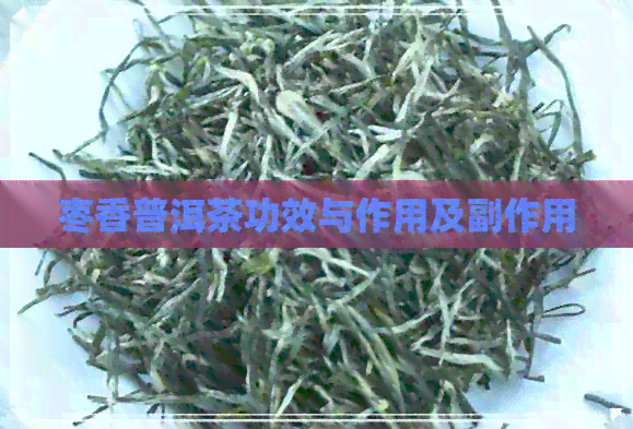 枣香普洱茶功效与作用及副作用