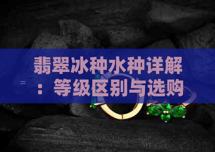 翡翠冰种水种详解：等级区别与选购指南