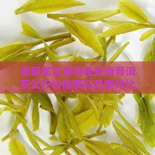 昆明龙王庙特色云南普洱茶公斤价格表与品质对比分析