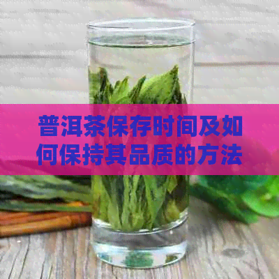 普洱茶保存时间及如何保持其品质的方法