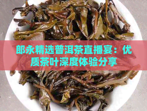 郎永精选普洱茶直播宴：优质茶叶深度体验分享