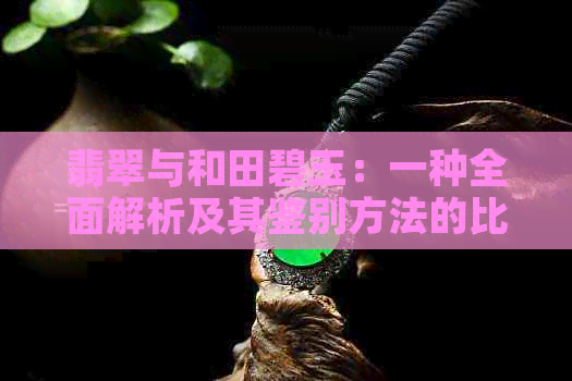 翡翠与和田碧玉：一种全面解析及其鉴别方法的比较研究