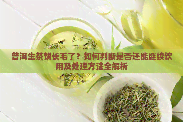 普洱生茶饼长毛了？如何判断是否还能继续饮用及处理方法全解析