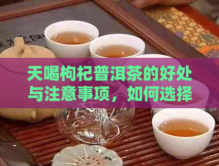 天喝枸杞普洱茶的好处与注意事项，如何选择和冲泡？