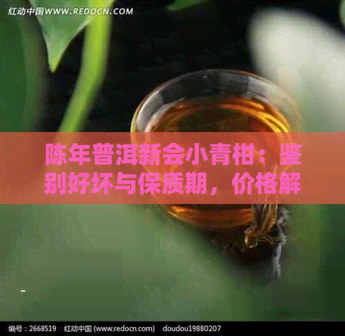 陈年普洱新会小青柑：鉴别好坏与保质期，价格解析