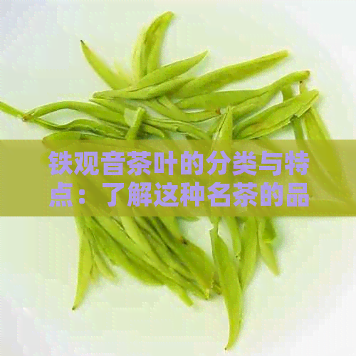 铁观音茶叶的分类与特点：了解这种名茶的品种、制作工艺和口感