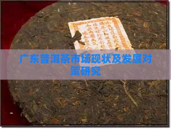 广东普洱茶市场现状及发展对策研究