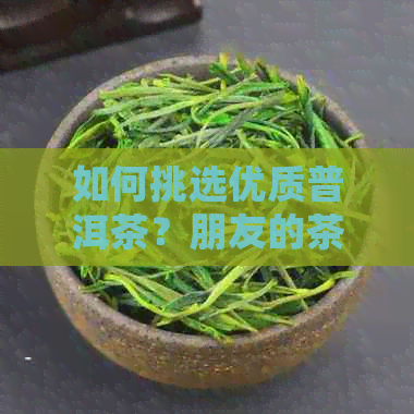 如何挑选优质普洱茶？朋友的茶叶值得购买吗？购买前的注意事项和建议