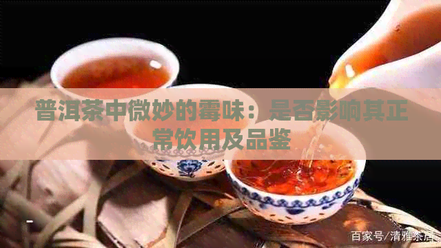 普洱茶中微妙的霉味：是否影响其正常饮用及品鉴