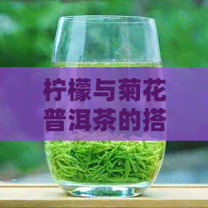 柠檬与菊花普洱茶的搭配：全面功效、作用与禁忌解析