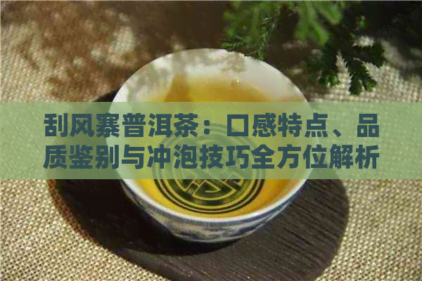 刮风寨普洱茶：口感特点、品质鉴别与冲泡技巧全方位解析