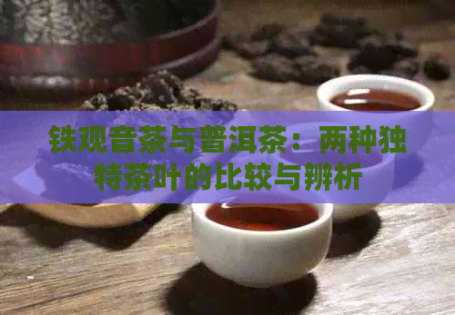 铁观音茶与普洱茶：两种独特茶叶的比较与辨析