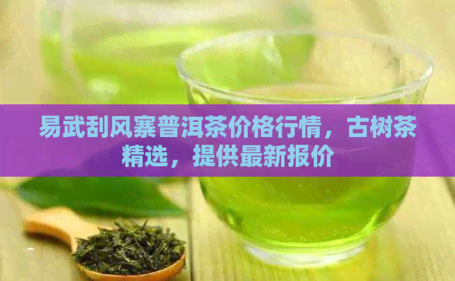 易武刮风寨普洱茶价格行情，古树茶精选，提供最新报价