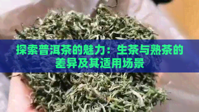 探索普洱茶的魅力：生茶与熟茶的差异及其适用场景