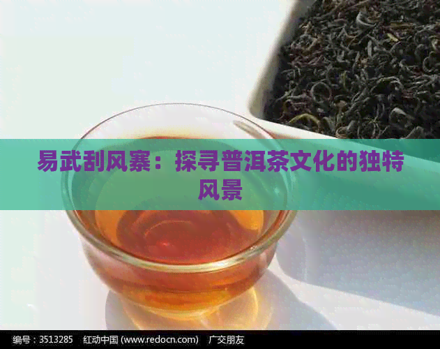 易武刮风寨：探寻普洱茶文化的独特风景