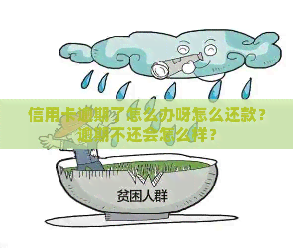 信用卡逾期了怎么办呀怎么还款？逾期不还会怎么样？