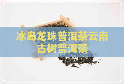 冰岛龙珠普洱茶云南古树普洱茶