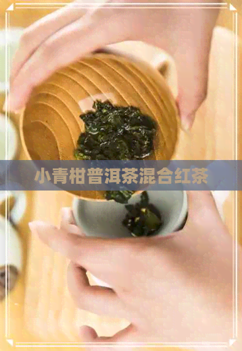 小青柑普洱茶混合红茶