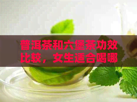 普洱茶和六堡茶功效比较，女生适合喝哪款？