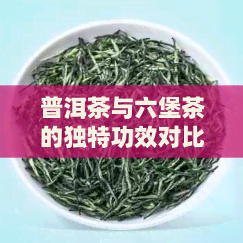 普洱茶与六堡茶的独特功效对比：一场味觉的探索之旅