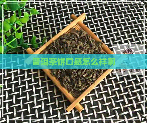 普洱茶饼口感怎么样啊