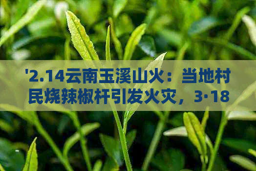 '2.14云南玉溪山火：当地村民烧辣椒杆引发火灾，3·18森林大火影响深远'