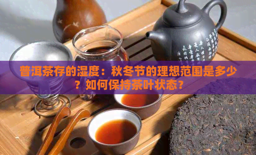 普洱茶存的湿度：秋冬节的理想范围是多少？如何保持茶叶状态？