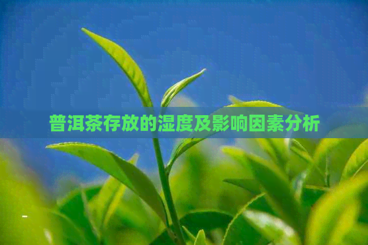 普洱茶存放的湿度及影响因素分析