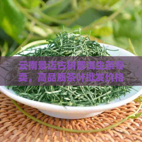 云南景迈古树普洱生茶专卖，高品质茶叶批发价格实