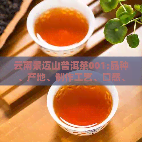 云南景迈山普洱茶001:品种、产地、制作工艺、口感、功效和购买指南一文详解