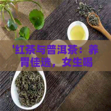 '红茶与普洱茶：养胃佳选，女生喝哪款更适合？'