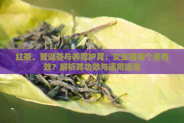 红茶、普洱茶与养胃护胃：女生喝哪个更有效？解析其功效与适用场景