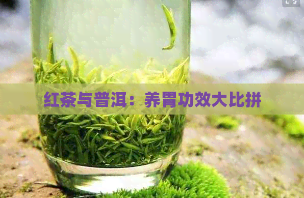 红茶与普洱：养胃功效大比拼