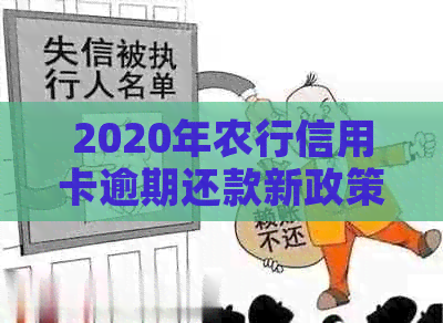 2020年农行信用卡逾期还款新政策解读：对信用记录及用卡影响深度解析