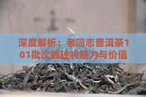 深度解析：老同志普洱茶101批次的独特魅力与价值