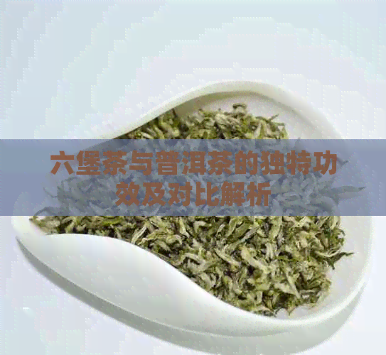 六堡茶与普洱茶的独特功效及对比解析